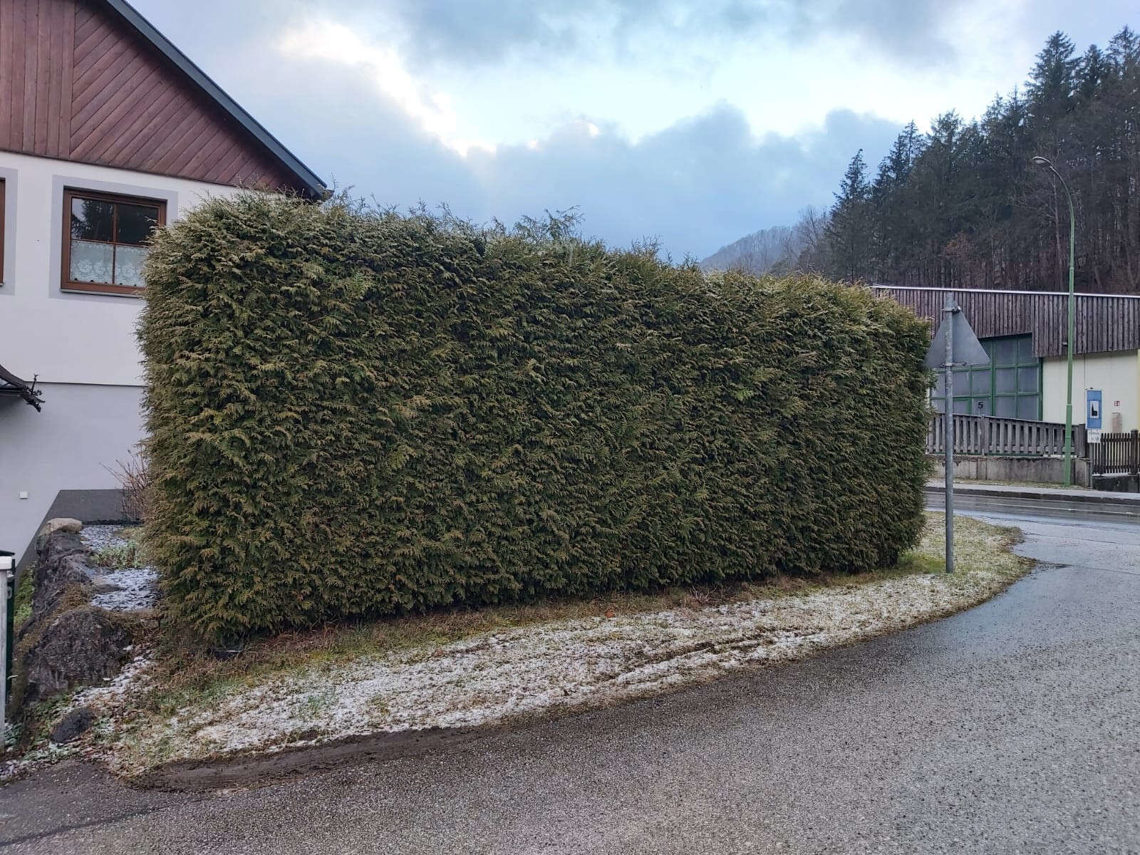 geschnittene Hecke von Gartenbetreuung Hörmann-Stockinger