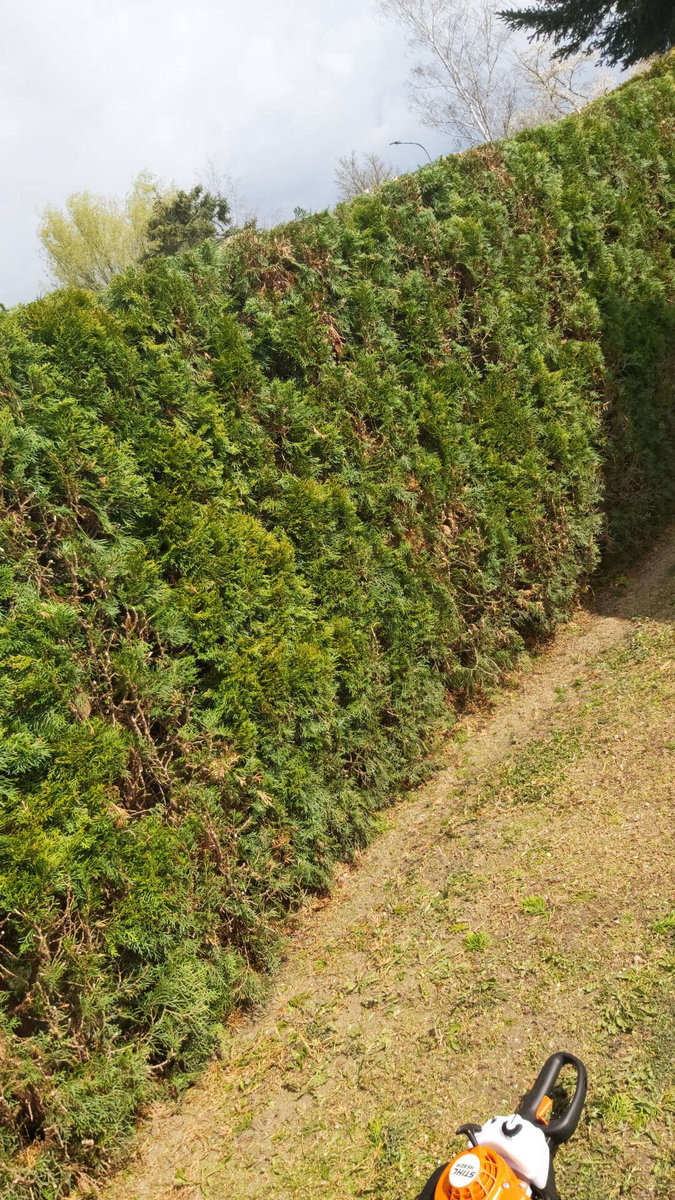 Heckenschnitt von Gartenbetreuung Hörmann-Stockinger