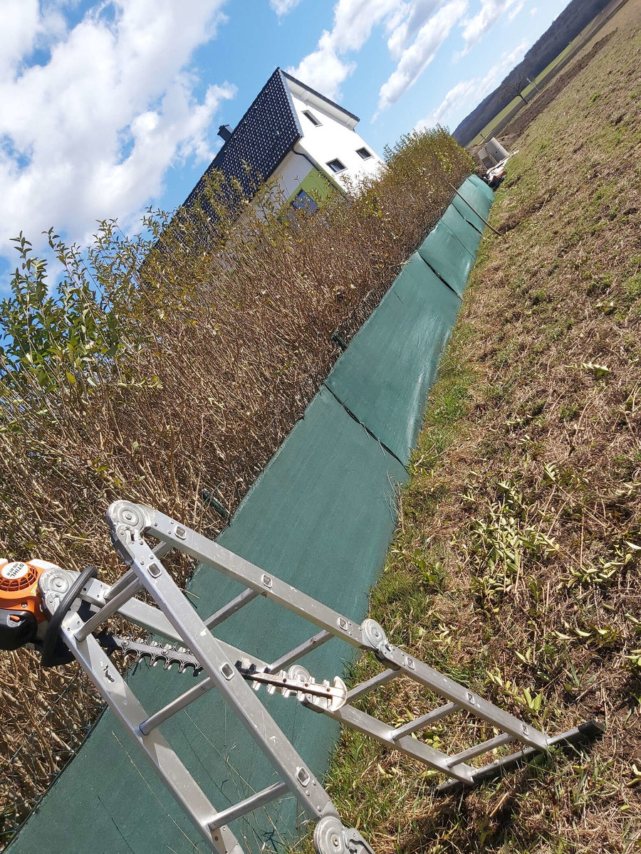 Heckenpflege von Gartenbetreuung Hörmann-Stockinger