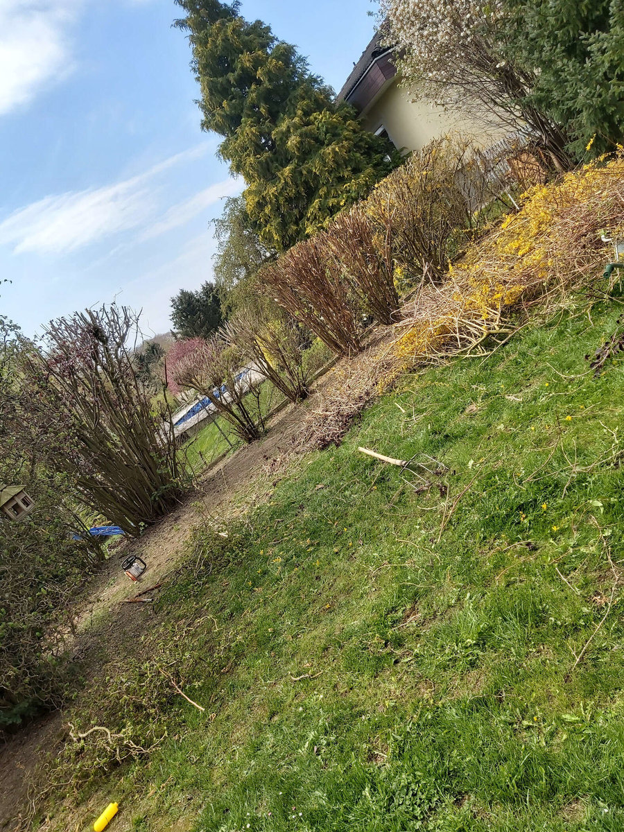 Gartenpflege von Gartenbetreuung Hörmann-Stockinger